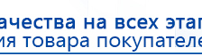 СКЭНАР-1-НТ (исполнение 01 VO) Скэнар Мастер купить в Новошахтинске, Аппараты Скэнар купить в Новошахтинске, Дэнас официальный сайт denasolm.ru